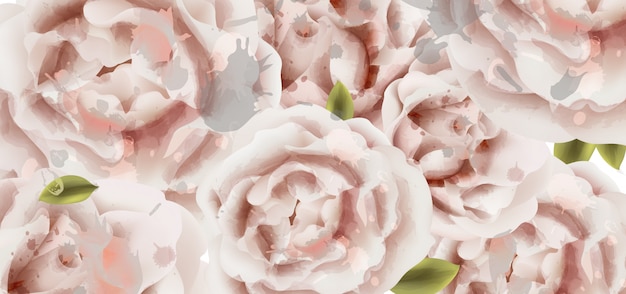 Delicate pink roses watercolor background