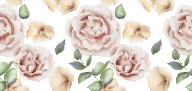 Delicate pink roses watercolor background