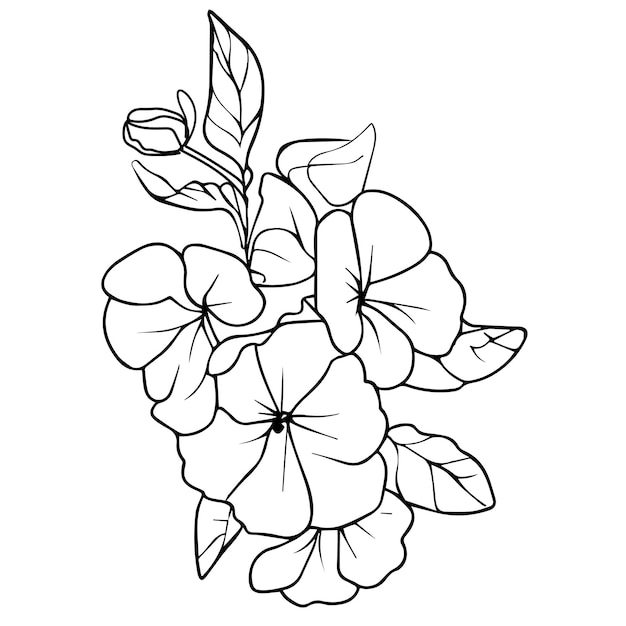 Vector delicate primrose tattoo primrose vector illustratie mooie preciosa bloemboeket van tatoeage