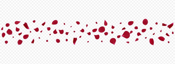 Vector delicate rose fall vector panoramic transparent