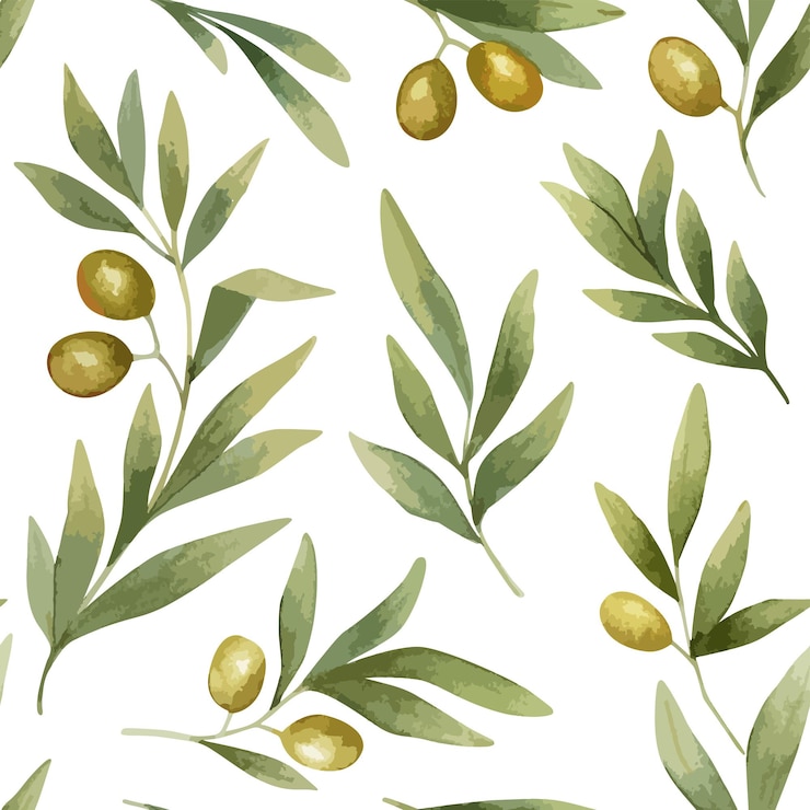 Vector delicate watercolor seamless pattern with olive tree branches and olives fruits on white background