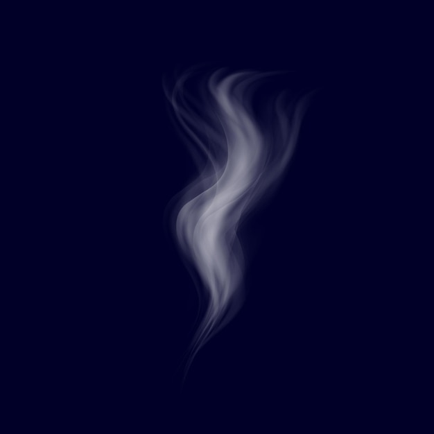 Delicate white cigarette smoke waves on transparent background vector illustration