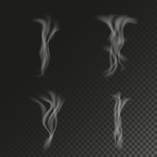 Delicate white cigarette smoke waves on transparent background vector illustration