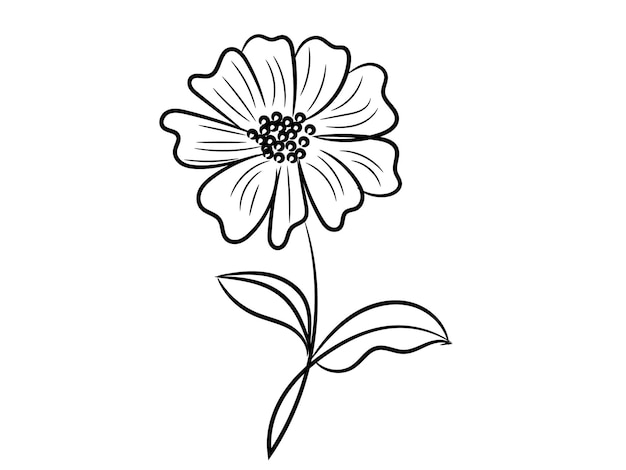 Delicate zwart-witte bloemenlijntekening