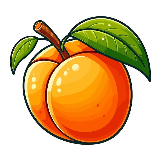 Delicious apricot fruit vector