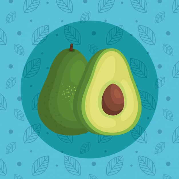 Vettore nutrizione deliziosa della frutta organica dell'avocado