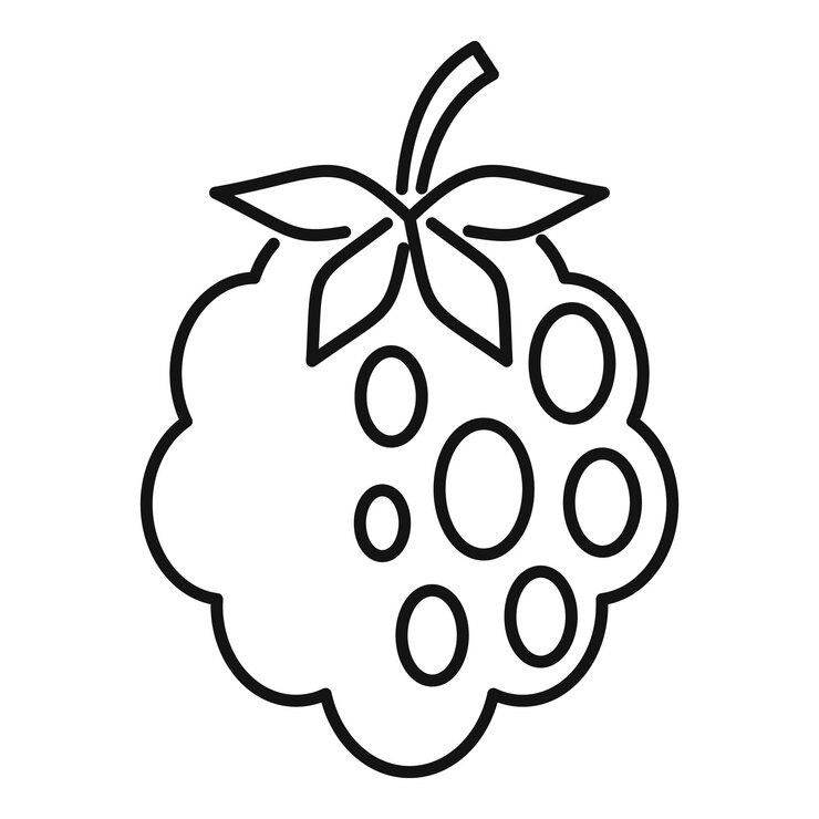 Vector delicious blackberry icon outline delicious blackberry vector icon for web design isolated on white background