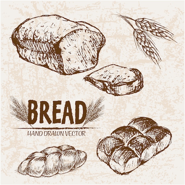 Vector delicious bread collection