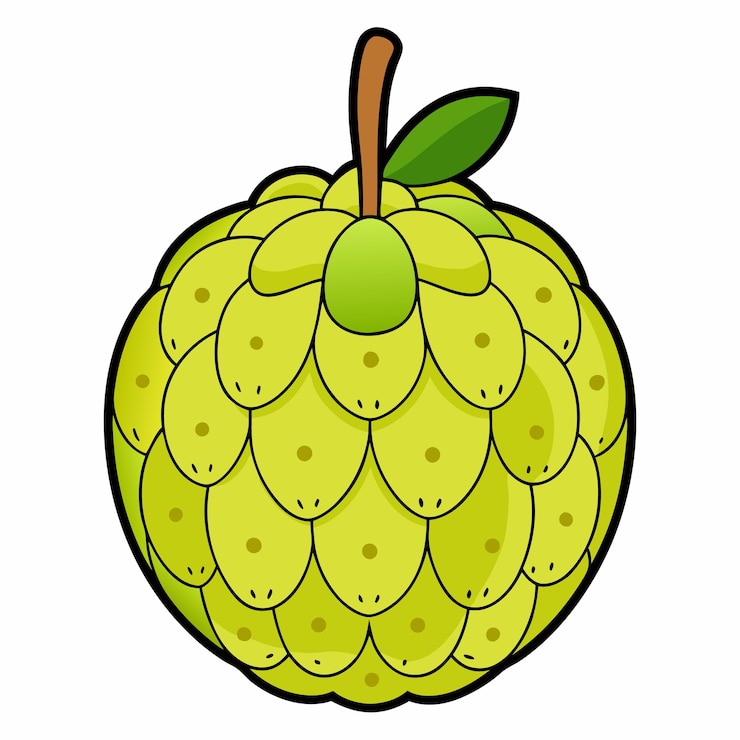 वेक्टर delicious custard apple with leaf cartoon vector and digital illustration