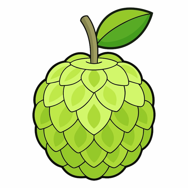 वेक्टर delicious custard apple with leaf cartoon vector and digital illustration