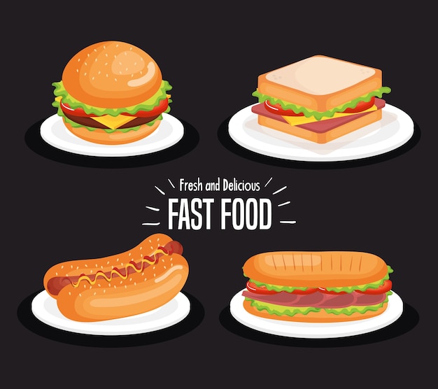 Progettazione dell'illustrazione di vettore delle icone del fast food delizioso