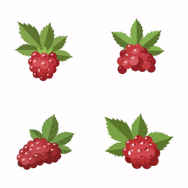 Vector delicious and fresh raspberries with green leaves