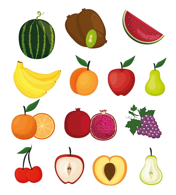 delicious fruits healthy food vector illustration design