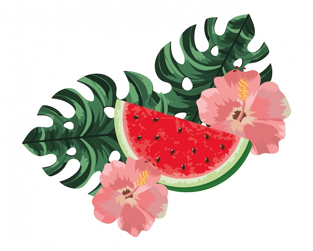 Delicious watermelon cartoon