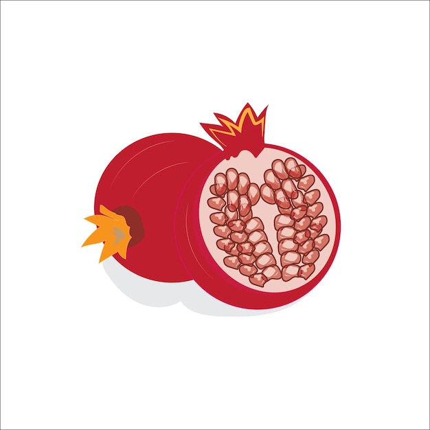 Vector delima or pomegranate