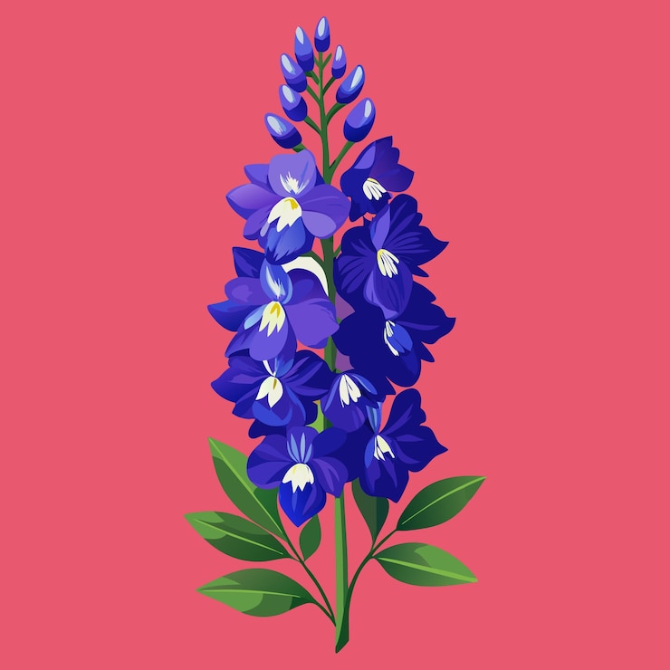 Vector delphinium flower clipart vector illustration