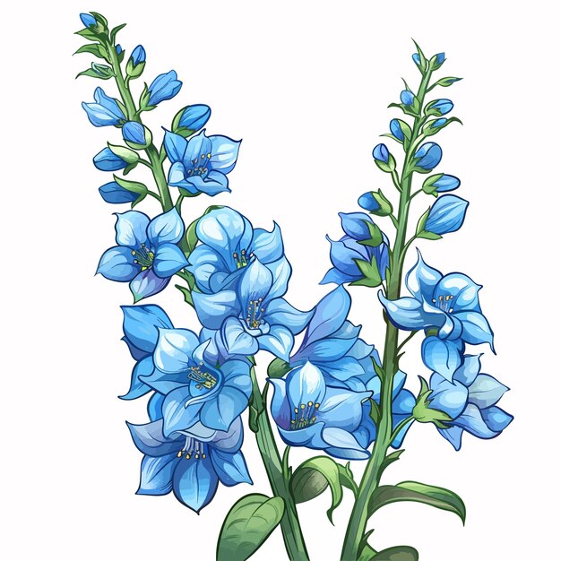 Vector delphinium flowers