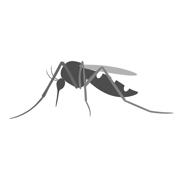 Vector dengue muggen vector art