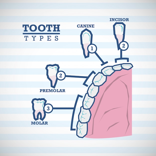 Dental care design