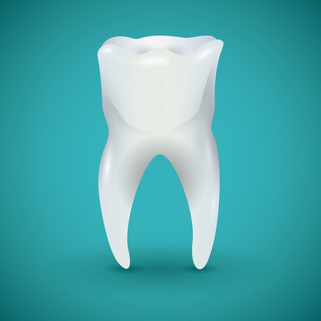 Vector dental design,vector illustration.