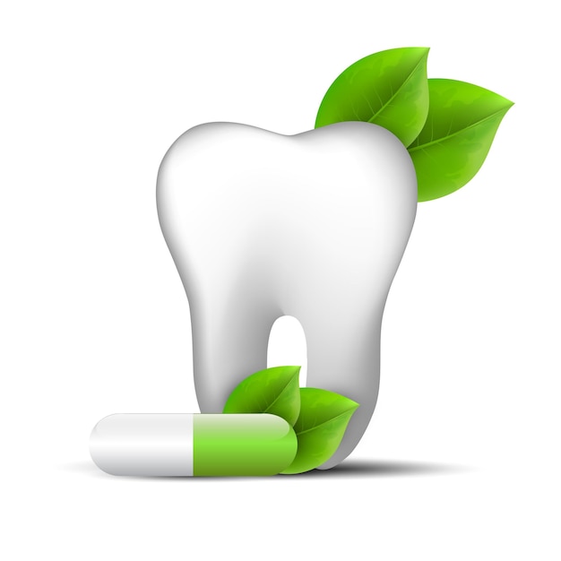 Vector dental herbal icon