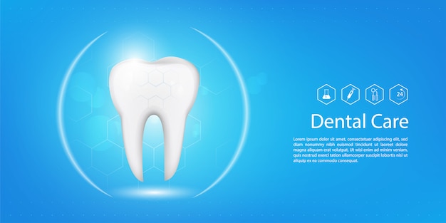 Vector dental model background