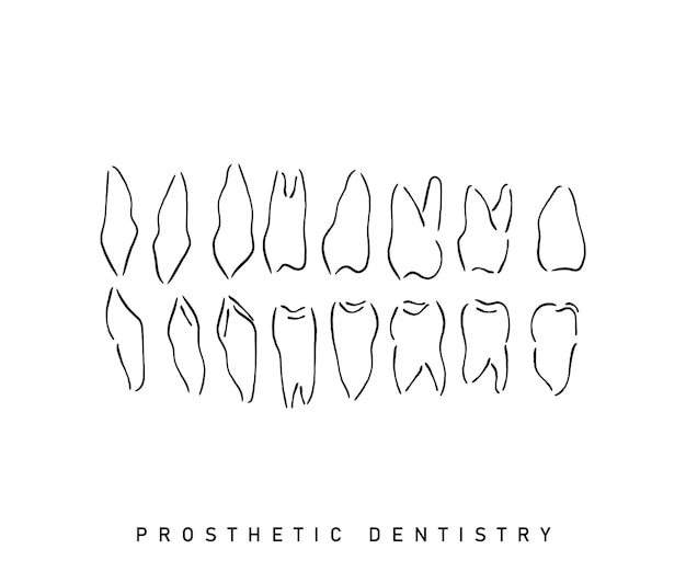 Dentistry and prosthetic