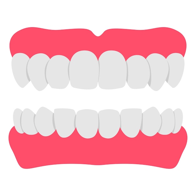 Vector denture teeth cartoon illustration isolated on a white background.