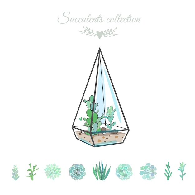 Vector deorative floral composition with succulents