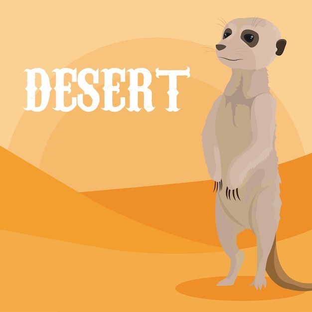 Desert animal cartoon