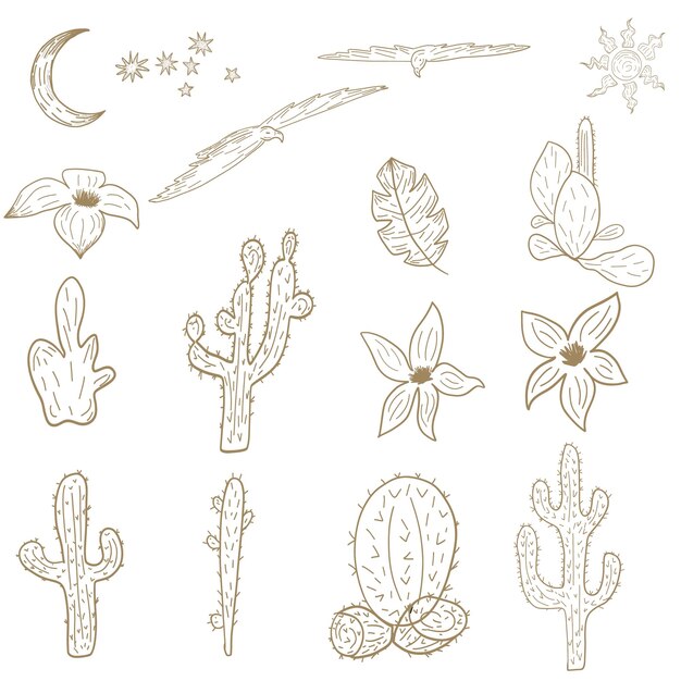 Vector desert arizona vibes illustration