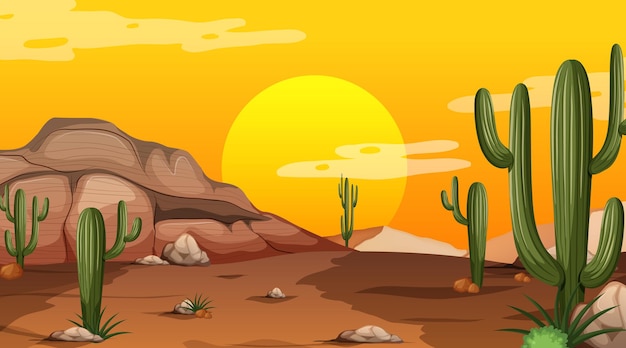 サボテンが多い日没時の砂漠の森の風景