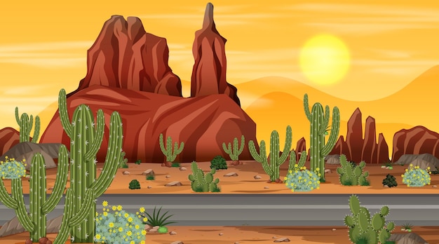 Vector desert forest landscape at night scene with long road