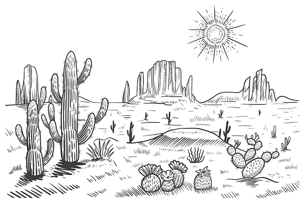 Illustrazione vettoriale del paesaggio del deserto. deserto disegnato a mano con cactus in fiore saguaro e opunta