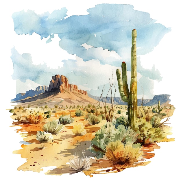 Vector desert painting watercolour vector illustration for background