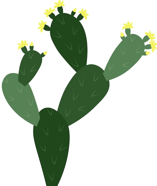 Vector desert plant on sand background.  texture with green cacti. blooming succulent.