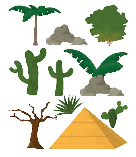 Desert plants and and elements