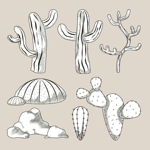 Desert plants hand drawn cartoons