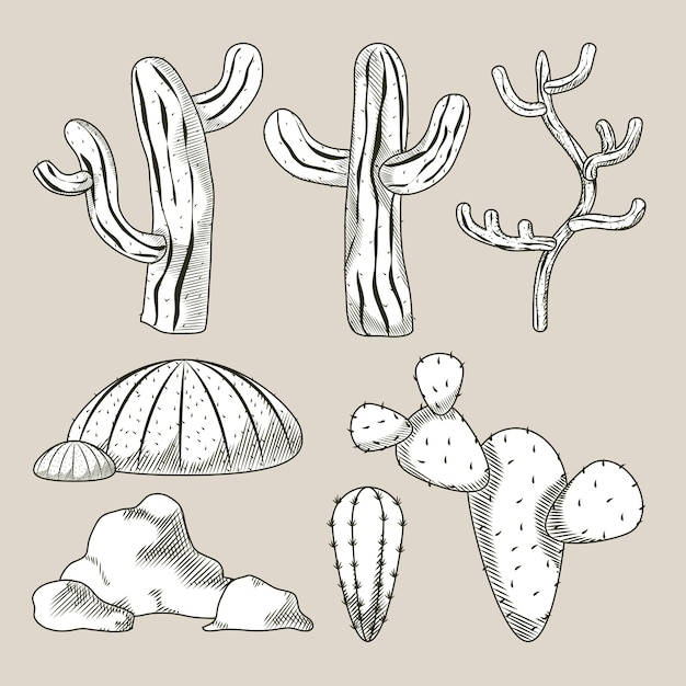 Vector desert plants hand drawn cartoons