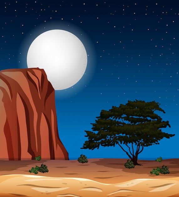 Desert scene at night