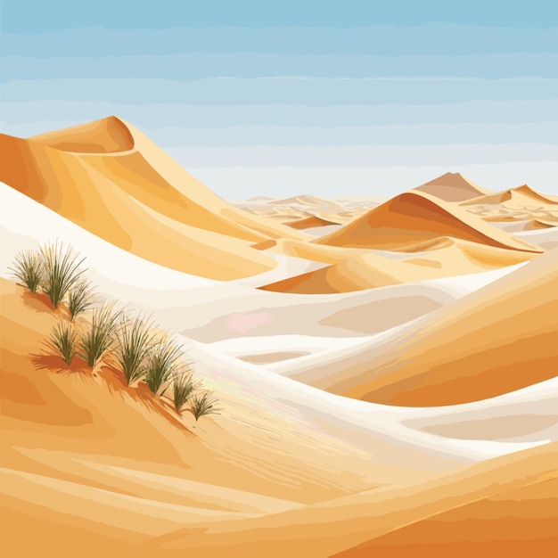 Vector desert vector on a white background