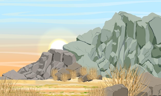 Vector desert with rocky soil mountain with stones and dry grass realistic vector landscape