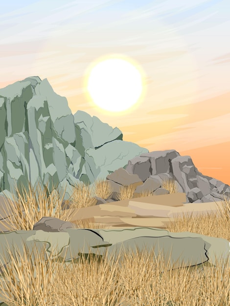 Vector desert with rocky soil mountain with stones and dry grass realistic vector vertical landscape