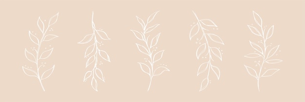 Vector design of 5 unique branches hand drawn branches design elements