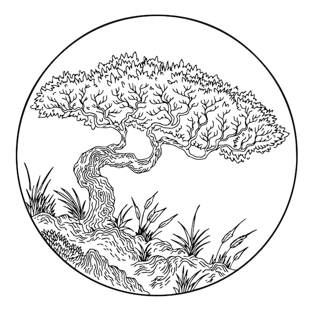 Design illustration asian tree lineart