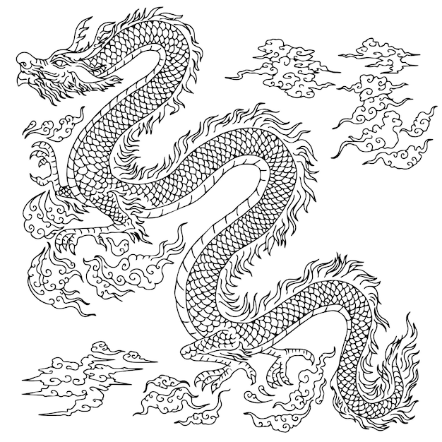 design illustration outline asian dragon