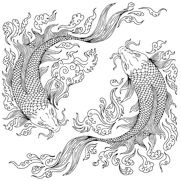Vector design illustration outline asian gold fish