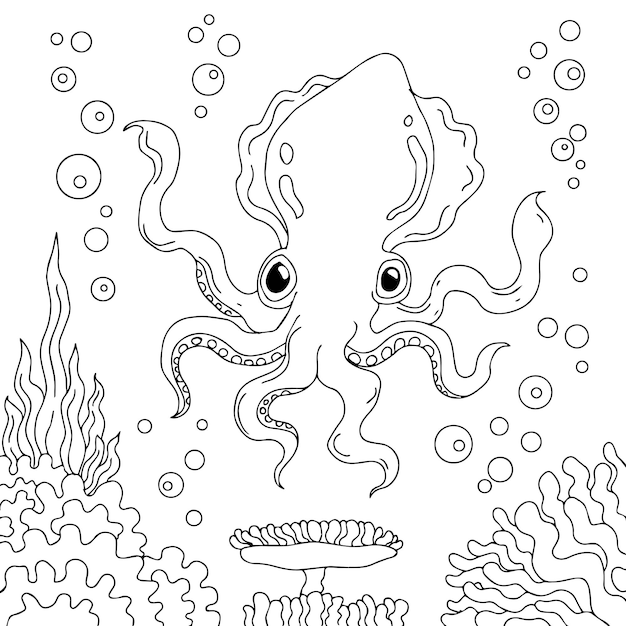 Design illustration squid outline coloring