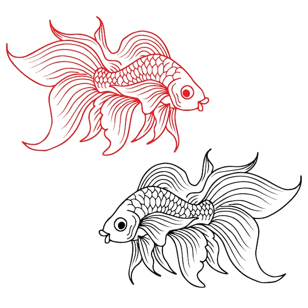 Vector design koi gold fish illustration silhouette outline