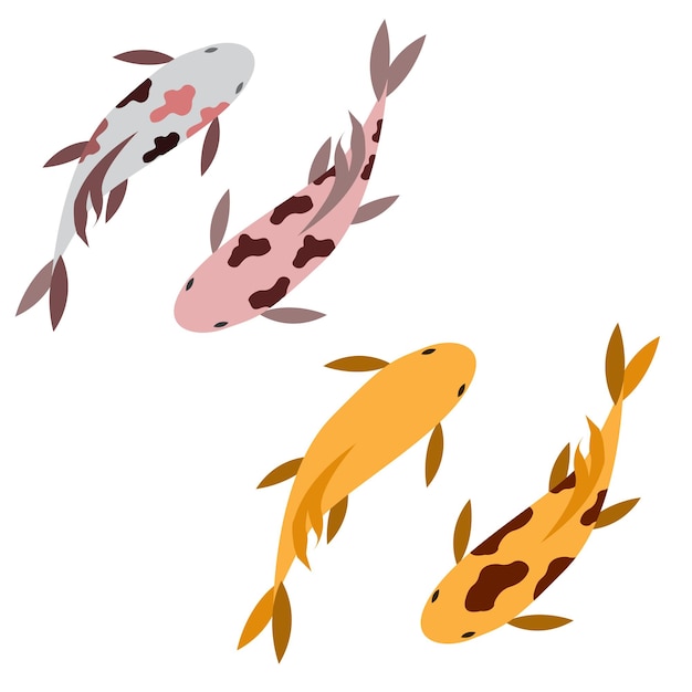 Vettore illustrazione del set di design koi e pesci rossi